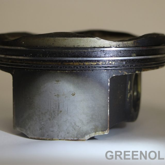 IMG_6257+greenol_800_800